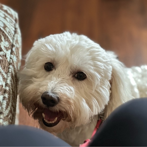 Meet your Posher, Michelle - Picture 8 of 10